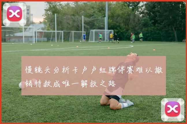 慢镜头分析卡卢卢红牌停赛难以撤销特赦成唯一解救之路