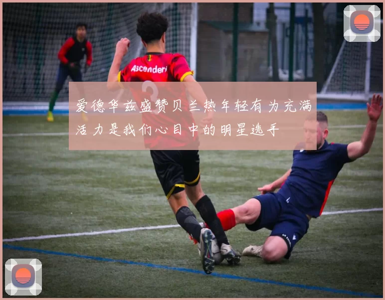 爱德华兹盛赞贝兰热年轻有为充满活力是我们心目中的明星选手